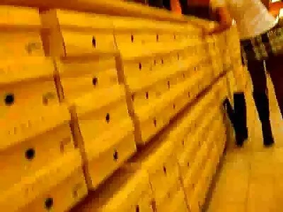 வேடிக்கை பார்க்கும் இந்த கொம்பு பொன்னிற கூஸை படக்குழு எடுத்தது